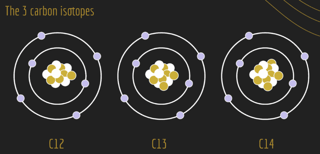 The three common carbon isotopes: C-12, C-13 and C-14.